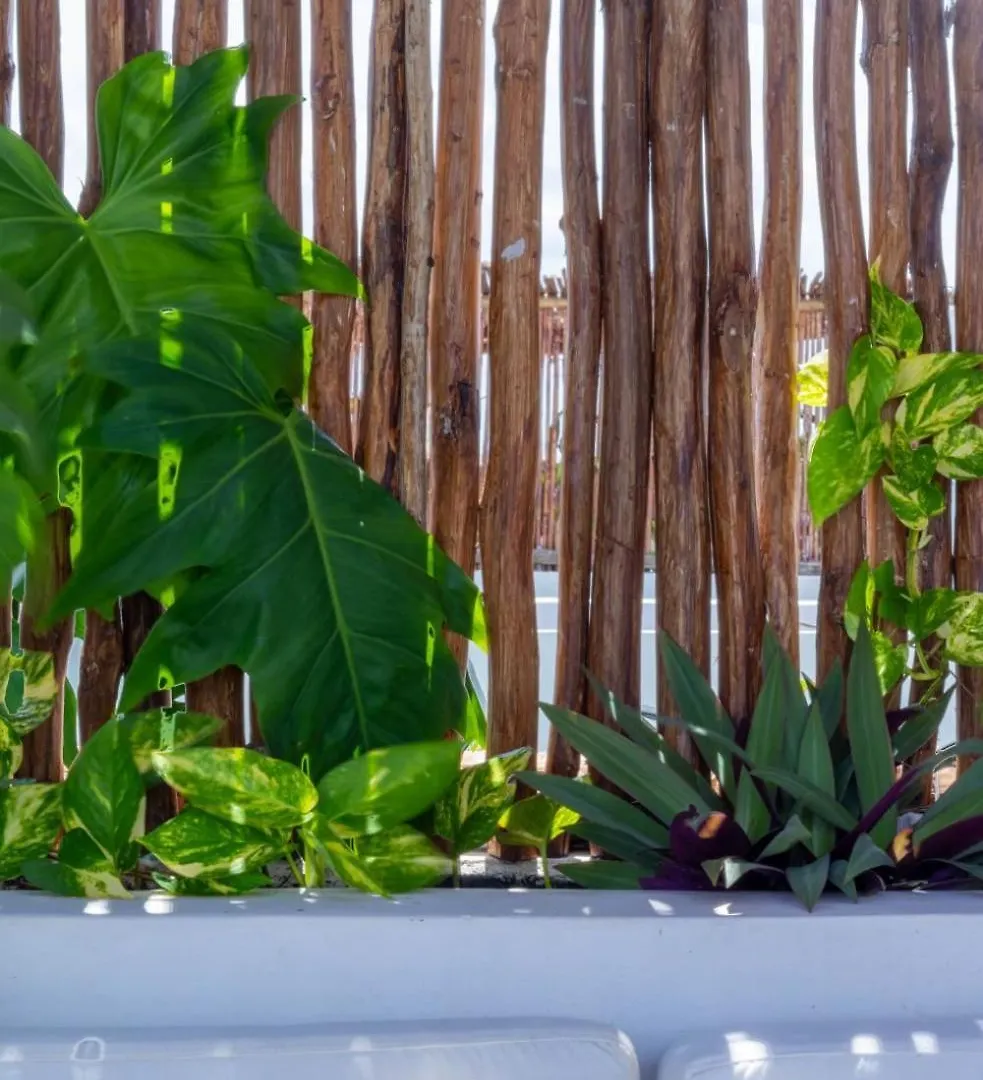 Pent House De Lujo Con Roof Top Privado Rodeado De Naturaleza Tulum 0*,  Mexico